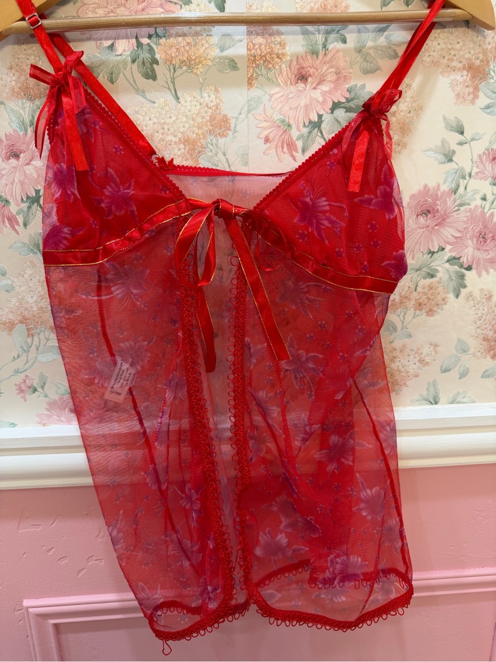 Sheer Red Floral Mesh Babydoll Chemise with Satin Ribbon